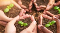 Cooperativas agropecuárias dão suporte aos pequenos produtores e respondem por mais da metade da receita somada de todos os ramos do cooperativismo no RS A união faz a força e, [&hellip;]