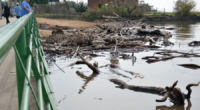 Pontos do território gaúcho podem registrar ventos acima de 100 km/h, conforme MetSul A&nbsp;MetSul Meteorologia&nbsp;alerta para uma situação meteorológica de perigo e elevado risco de vendavais violentos e de curta [&hellip;]