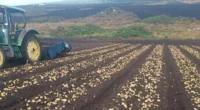 Os consumidores gaúchos vêm percebendo uma verdadeira montanha-russa de preços da batata-inglesa na feira e no supermercado no primeiro semestre de 2026. Segundo o Departamento Intersindical de Estatística e Estudos [&hellip;]